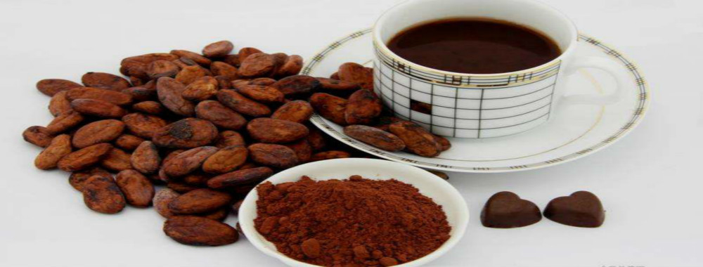 quality Alkalized Cocoa Powder Service