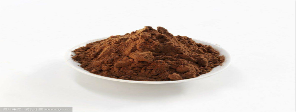 quality Alkalized Cocoa Powder Service